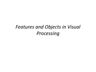 Features and Objects in Visual Processing