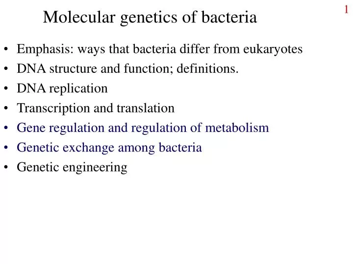 molecular genetics of bacteria