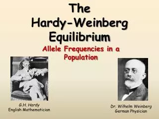 The Hardy-Weinberg Equilibrium