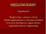 WĘGLOWODANY - slide 1