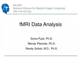 fMRI Data Analysis