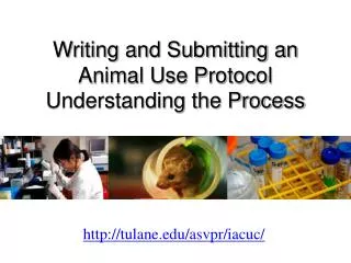 Writing and Submitting an Animal Use Protocol Understanding the Process