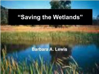 “Saving the Wetlands”