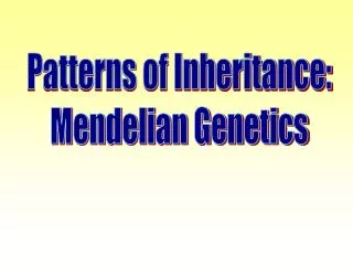 Patterns of Inheritance: Mendelian Genetics