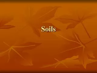 soils