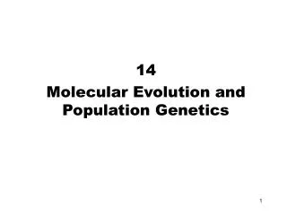 14 Molecular Evolution and Population Genetics