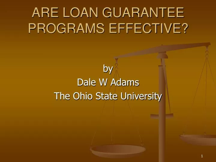 are loan guarantee programs effective