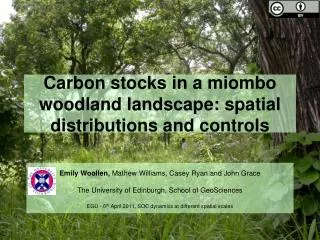Carbon stocks in a miombo woodland landscape: spatial distributions and controls