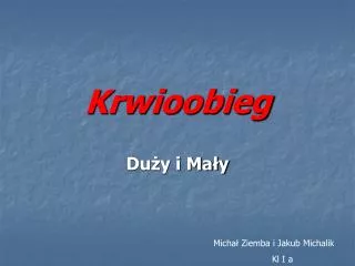krwioobieg