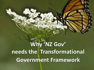 Why ‘NZ Gov’ needs the Transformational Government Framework