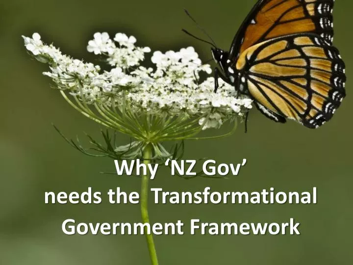 why nz gov needs the transformational government framework