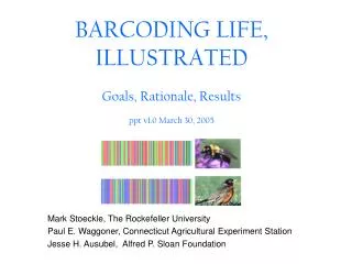 BARCODING LIFE, ILLUSTRATED Goals, Rationale, Results ppt v1.0 March 30, 2005