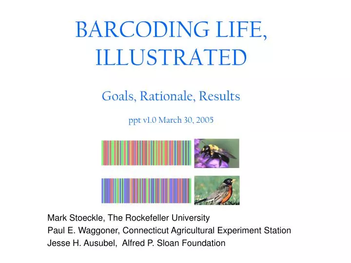barcoding life illustrated goals rationale results ppt v1 0 march 30 2005