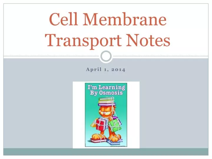 cell membrane transport notes