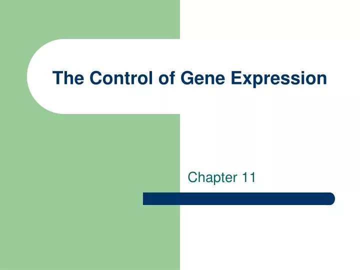the control of gene expression