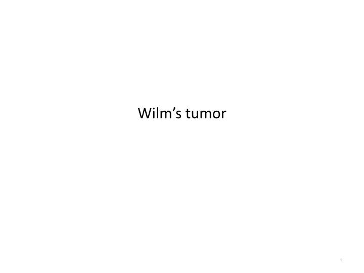 wilm s tumor