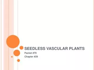 SEEDLESS VASCULAR PLANTS