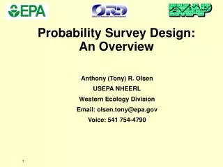 Probability Survey Design: An Overview