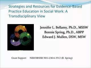 Strategies and Resources for Evidence-Based Practice Education in Social Work: A Transdisciplinary View