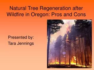 Natural Tree Regeneration after Wildfire in Oregon: Pros and Cons