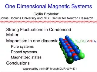One Dimensional Magnetic Systems