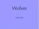 Wolves - slide 1
