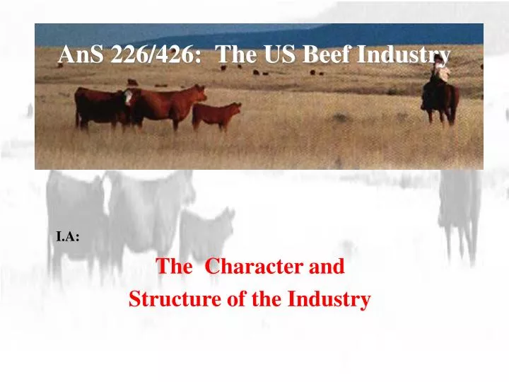 ans 226 426 the us beef industry