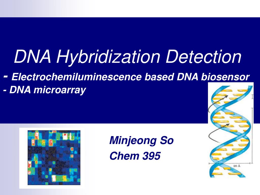 PPT - DNA Hybridization Detection - Electrochemiluminescence based DNA ...