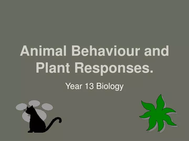 animal behaviour and plant responses