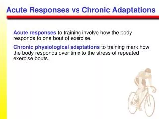 Acute responses to training involve how the body responds to one bout of exercise.