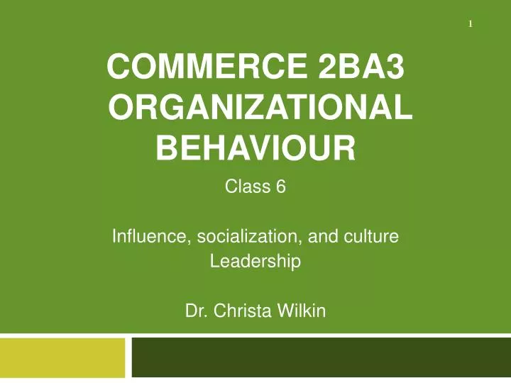 commerce 2ba3 organizational behaviour
