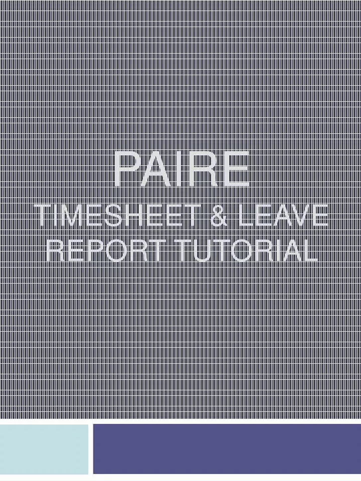 paire timesheet leave report tutorial