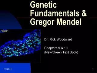 Genetic Fundamentals &amp; Gregor Mendel