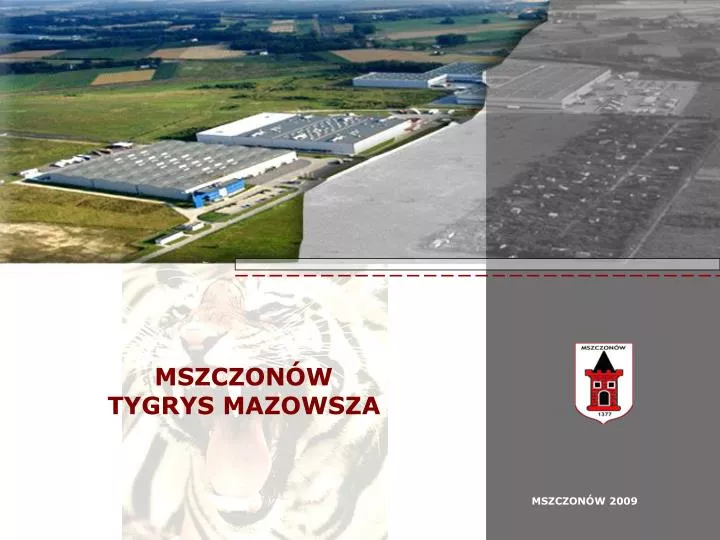 mszczon w tygrys mazowsza