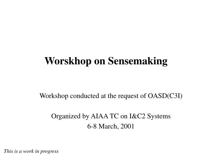 worskhop on sensemaking