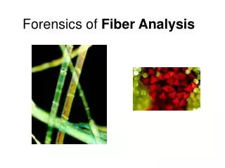 Forensics of Fiber Analysis