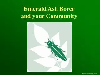 Emerald Ash Borer and your Community