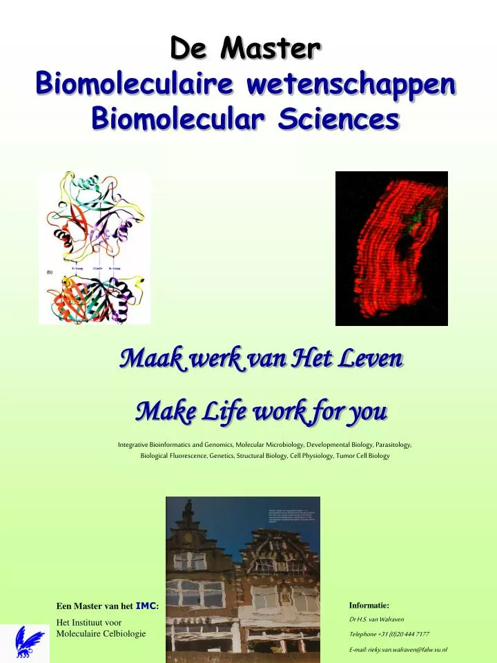 de master biomoleculaire wetenschappen biomolecular sciences