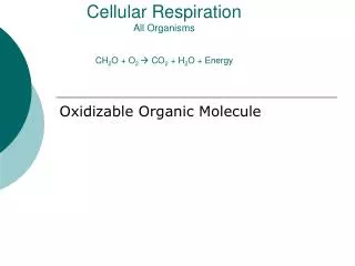 Cellular Respiration All Organisms CH 2 O + O 2  CO 2 + H 2 O + Energy