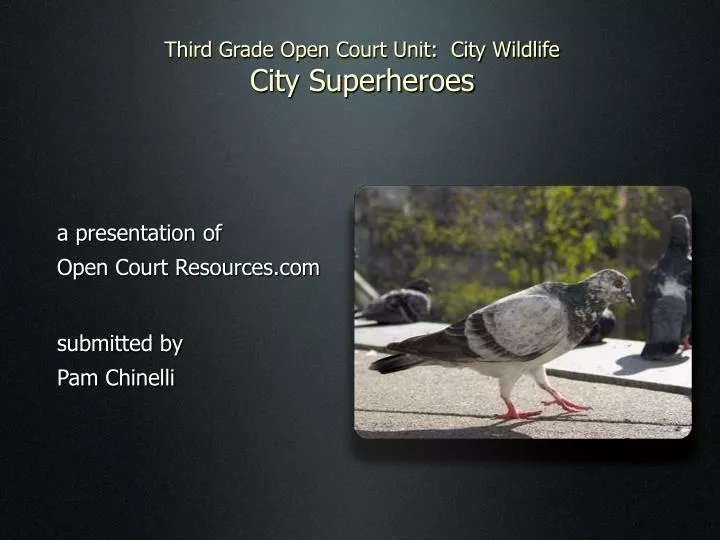 third grade open court unit city wildlife city superheroes
