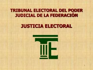 TRIBUNAL ELECTORAL DEL PODER JUDICIAL DE LA FEDERACIÓN