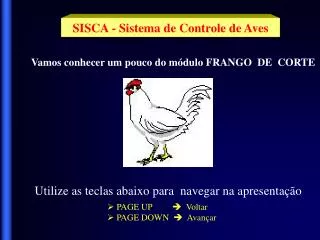SISCA - Sistema de Controle de Aves