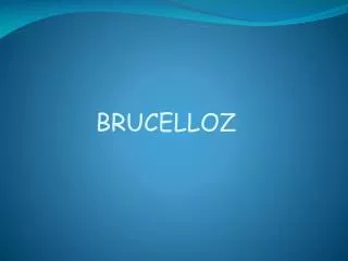 BRUCELLOZ