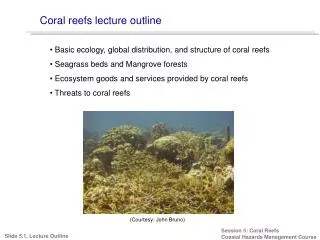 Coral reefs lecture outline