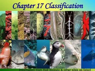 Chapter 17 Classification