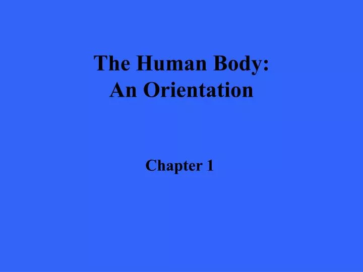 the human body an orientation