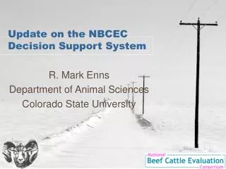 Update on the NBCEC Decision Support System