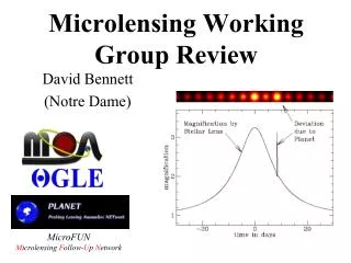 Microlensing Working Group Review