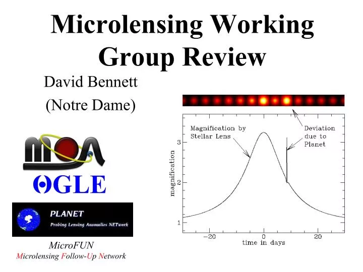 microlensing working group review
