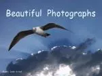 Beautiful Photographs